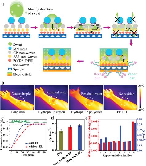 Wickingpolarization Coupling Effect And Water Evaporation And Heat