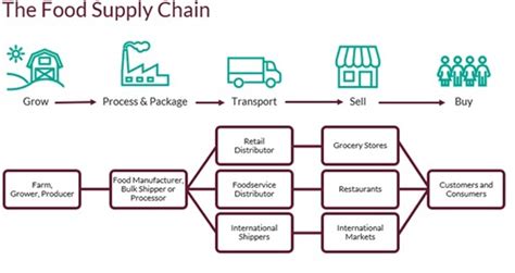 Supply Chain Transparency Revolutionizing Food Safety