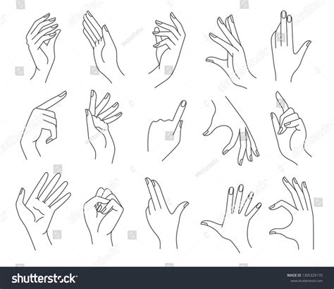 Line woman hands gestures. Women hand shapes vector illustration ...