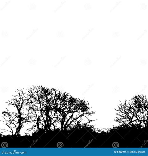 Tree Silhouette Background Royalty Free Stock Image - Image: 6362916