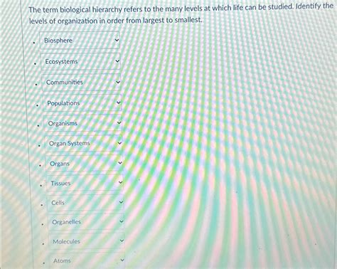 Solved The term biological hierarchy refers to the many | Chegg.com