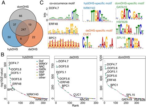 Genome Wide Chromatin Accessibility Analysis Unveils Open Chromatin