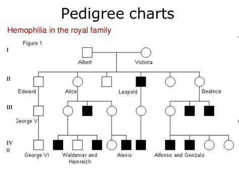 Pedigrees Lesson