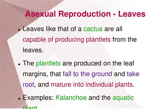 Reproduction In Plants Ppt Download