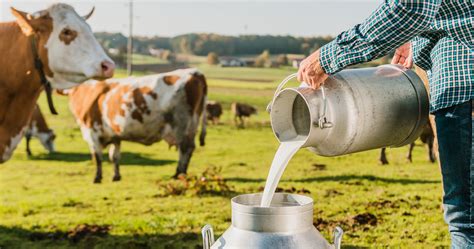 Global Dairy Industry On Brink Of Mighty Changes This Week At