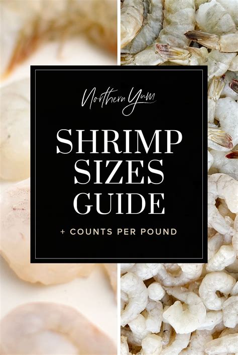 shrimp sizes guide with the title overlaying it in black and white, surrounded by other seafood ...