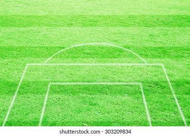 Soccer Field Grass Stock Photo 303209834 | Shutterstock