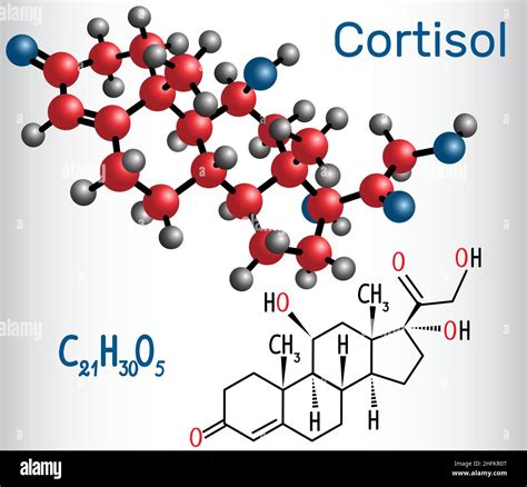 Cortisol Hormona De Estrés Fórmula Química Estructural Y Modelo De