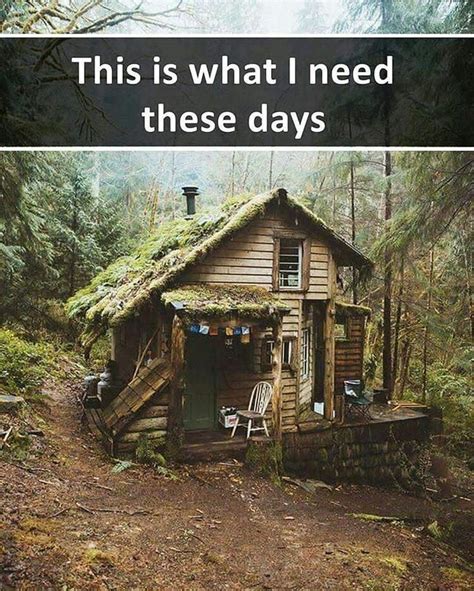 Pin By Asma ∞ On Memes Are Love Cabins In The Woods House In The