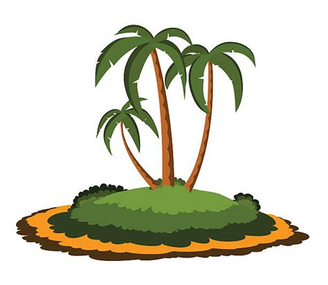 Shadow Palm Trees Tropical Beach Cartoon Illustrations Royalty Free