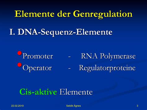 Molekulare Zellbiologie Ppt Herunterladen