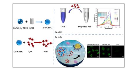 One Pot Synthesis Biocompatible Coppertripeptide Complex As A