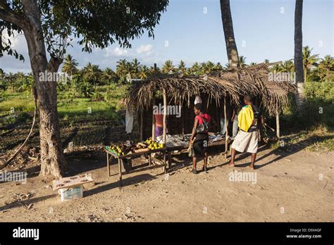 Afrika Mosambik Inhambane Am Straßenrand Gemüsemarkt Stockfotografie