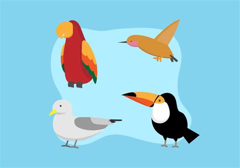 Group of Birds 425320 Vector Art at Vecteezy