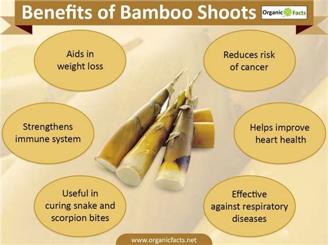 Uses Of Bamboo OnlyMosoUSA