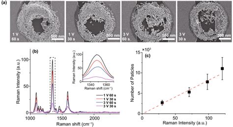 Sers Results Of Various Pdep Au Nano Aggregates Samples A Sem Images