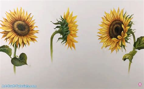 How To Paint A Daisy 10 Amazing And Easy Tutorials Artofit