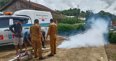 30 Warga Aceh Tenggara Terserang Virus Chikungunya