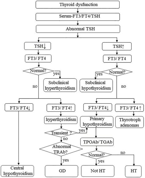 Immune Checkpoint Inhibitors Related Thyroid Dysfunction Epidemiology