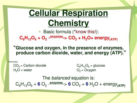 Cellular Respiration Formula Balanced