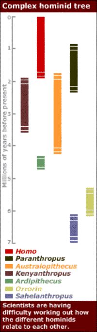 Hominid Species Time Line - 11