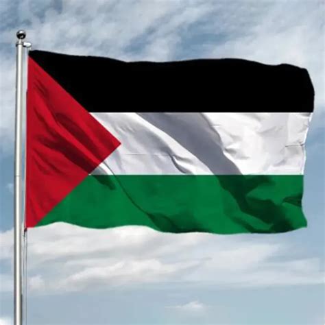 Bandera Palestina De Gaza Poli Ster X Pies X Cm De