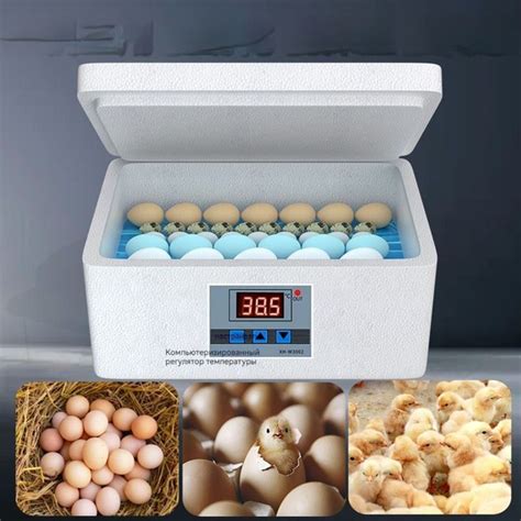 для Инкубатора Несушка, 22 яиц/Инкубатор Для Яиц - купить с доставкой ...