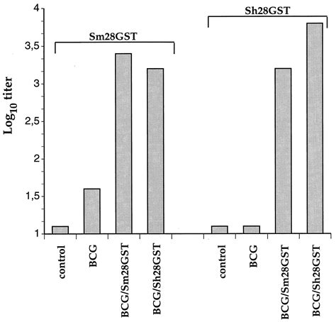 Systemic And Mucosal Immune Responses After Intranasal Administration