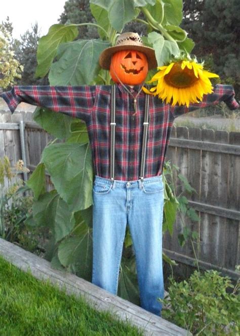 20+ Fabulous Garden Scarecrow Ideas