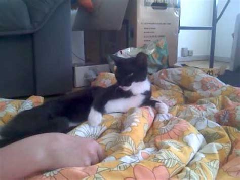 Realy Horny And Sexy Naked Lady Youtube