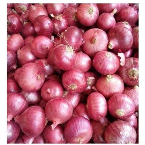 A Grade Maharashtra Natural Fresh Onion Packaging Size Kg Onion