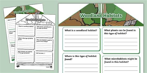 Woodland Habitats Fact File Template Hecho Por Educadores