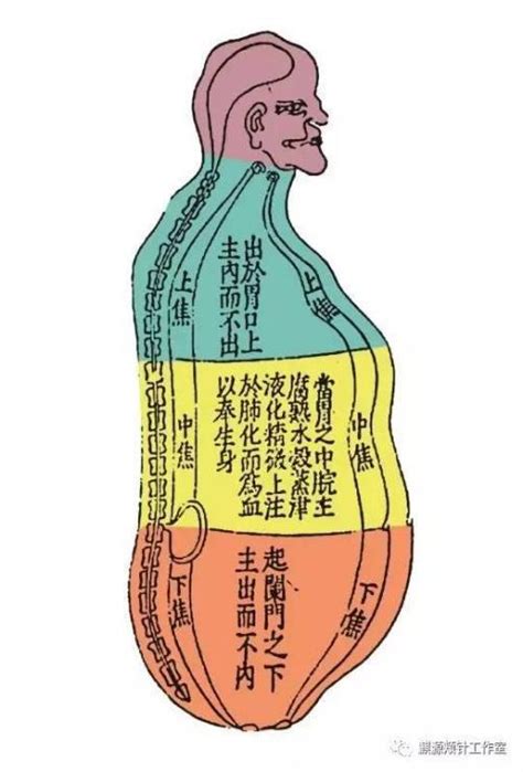 六腑图册 360百科