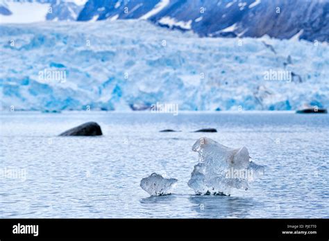 Spitzbergen Norwegen Immagini E Fotografie Stock Ad Alta Risoluzione