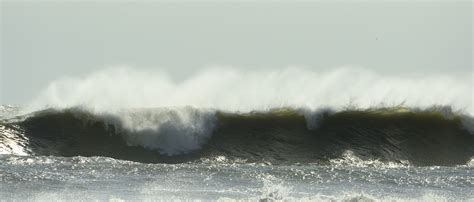 Assateague Island National Seashore Va — Jim Clark Photography