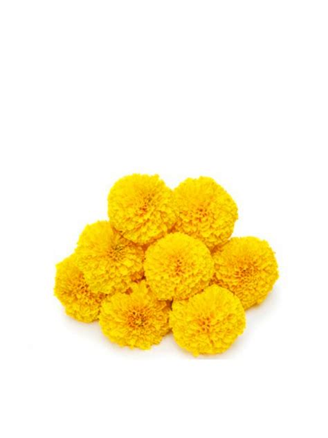 Marigold Yellow Flower (Gende Ka Phool) - 250gm - GetFlowersDaily