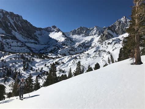 New eco-friendly options will soon be offered at Mt Thompson crematorium QLD 7