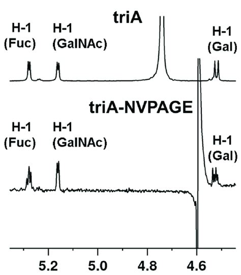 Fragments Of H Nmr Spectra Anomeric Region Of Free Trisaccharide A