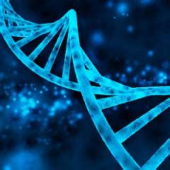 What does a cytogenetic technologist do? - CareerExplorer