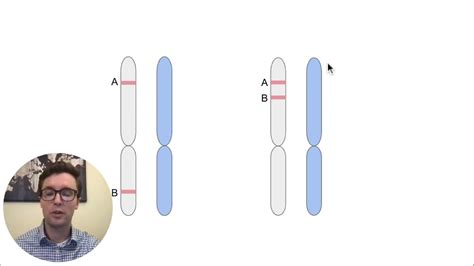 Mcat Question Of The Day Genetic Recombination Youtube