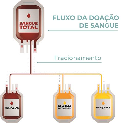 Plasma convalescente será usado para tratar pacientes de Covid 19 em