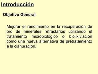 Biohidrometalurgia Ppt