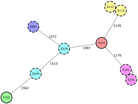 Minimum Spanning Tree Of Mcr Positive E Coli Isolates From Seven