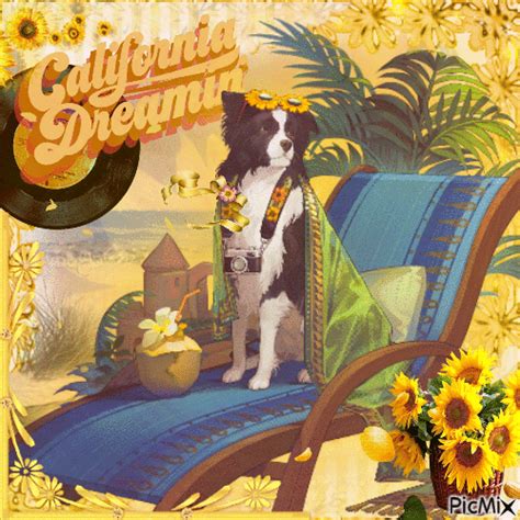 California Dreamin Free Animated  Picmix