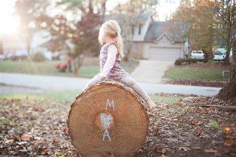 How to Safely Remove a Large Tree From Your Yard