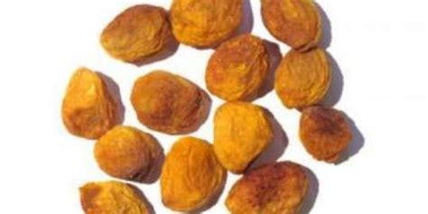 Урюк – состав абрикоса, его полезные свойства и противопоказания