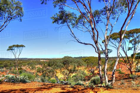 Rural landscape, Western Australia, Australia - Stock Photo - Dissolve