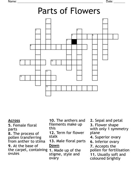 Parts Of A Flower Crossword