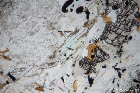 Muscovite Thin Section Phyllosilicates Microckscopic