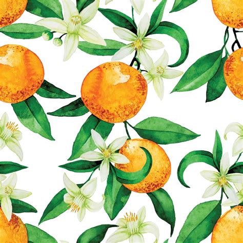 Seamless Watercolor Pattern With Oranges Orange Oranges Flowers And